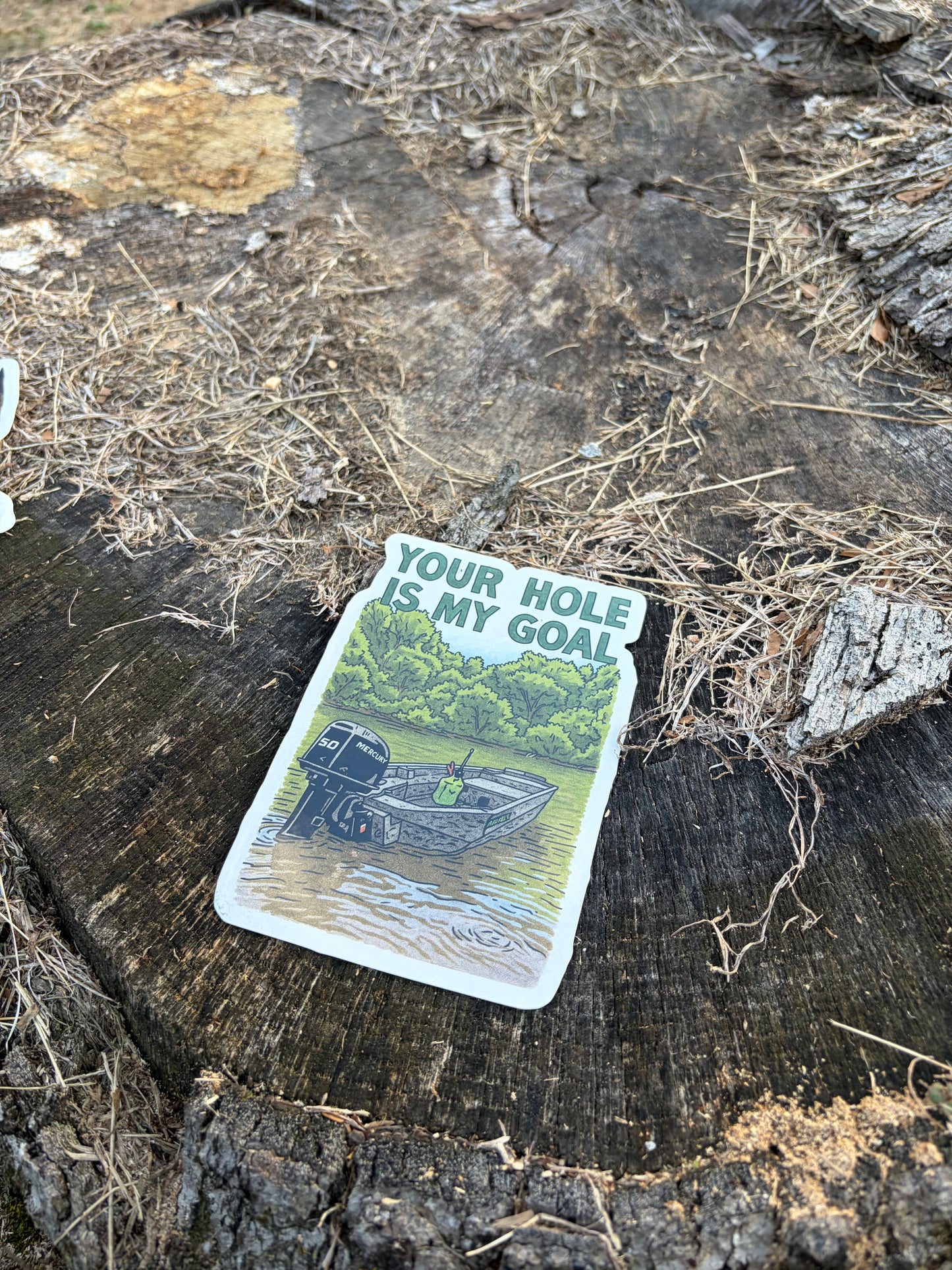 YOUR HOLE IS MY GOAL sticker